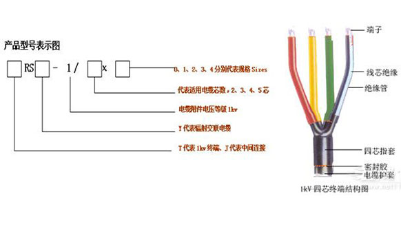 未标题-1